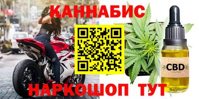 индика Новозыбков