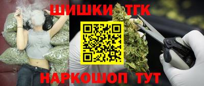 индика Новозыбков