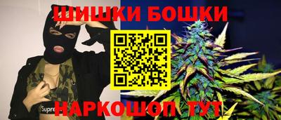 индика Новозыбков