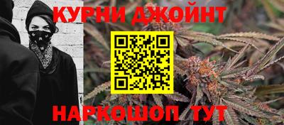 индика Новозыбков