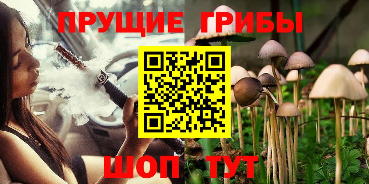 Псилоцибиновые грибы мицелий Сургут