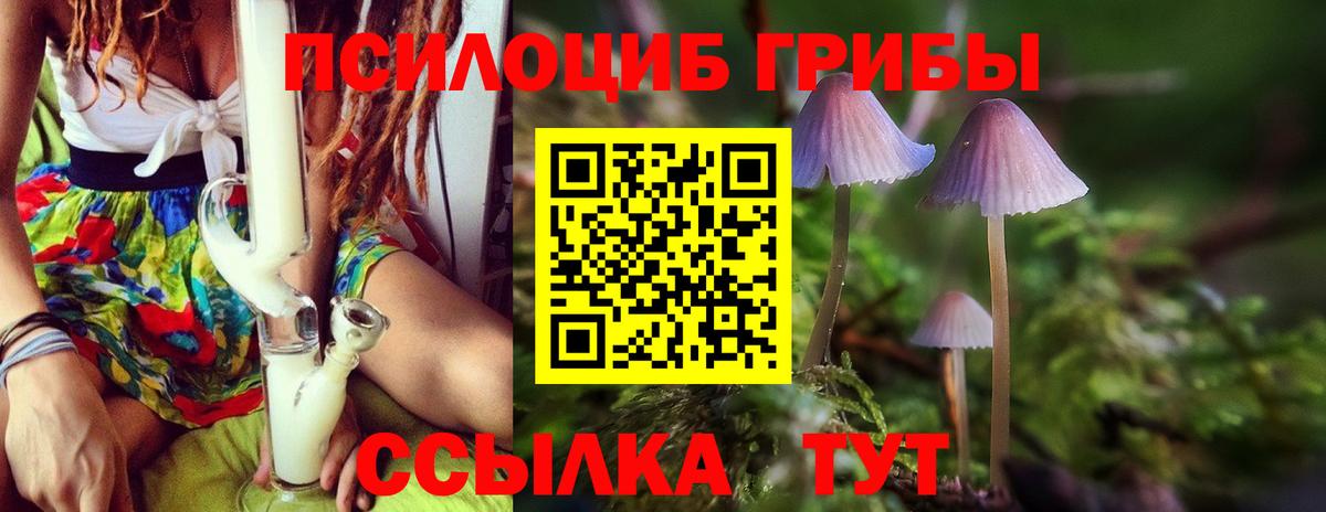 Сургут  Псилоцибиновые грибы мицелий  Вход с VPN  Псилоцибиновые грибы MAGIC MUSHROOMS 